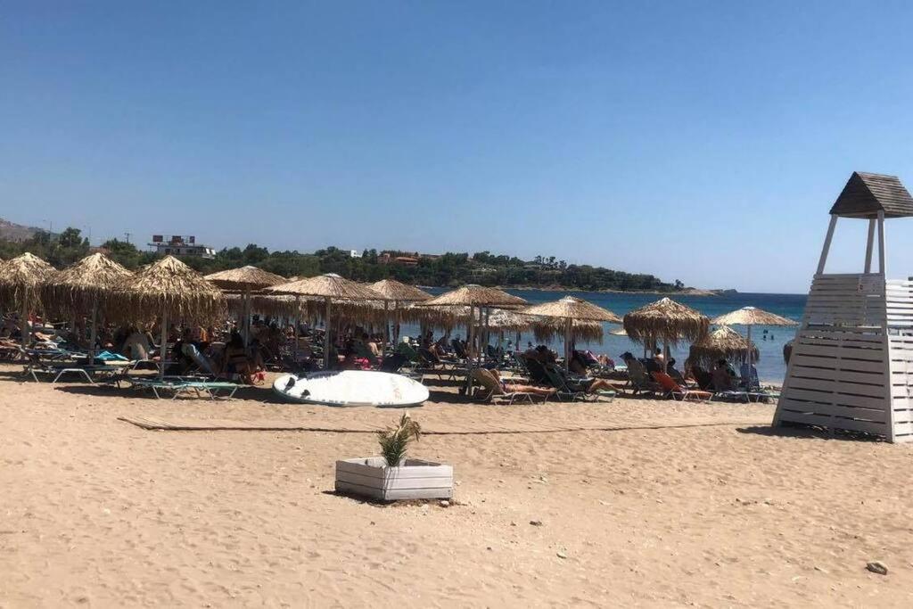 Villa Marilena Lagonisi Kalivia Thorikou المظهر الخارجي الصورة